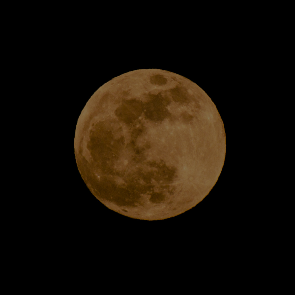 Rødegaard Fuldmåne