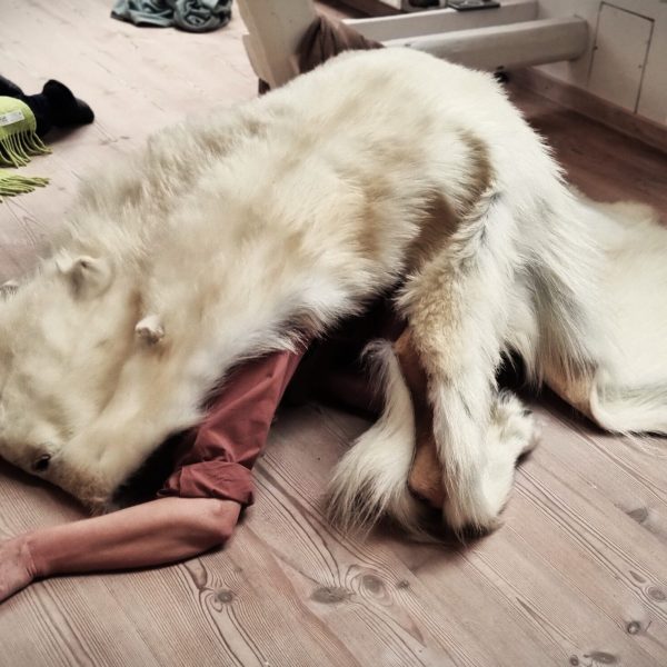 Nytårsretreat Jordens Sang