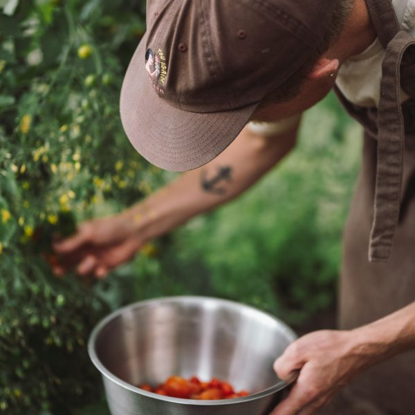 Rødegaard Mad&Køkken, SE-49 DSC_4115